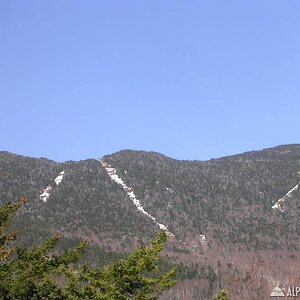 DSCN4419