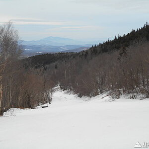 DSCN0405