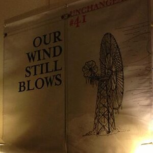 windblows.jpg