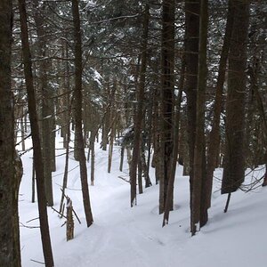 Okemo 3 22 008.jpg