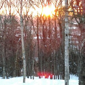 glades at Sunset.jpg