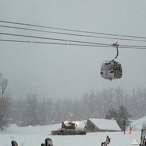 whiteface_030207