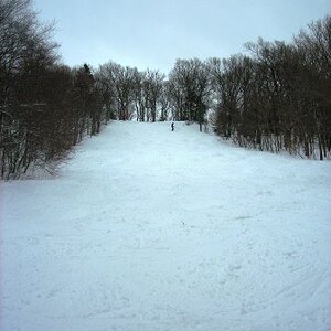 Sidewinder--Headwall (Note the trees on either side)