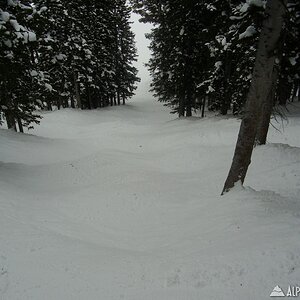 Jackson Hole 3/3 - 3/6