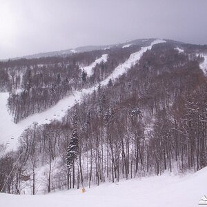 The Snow Bowl