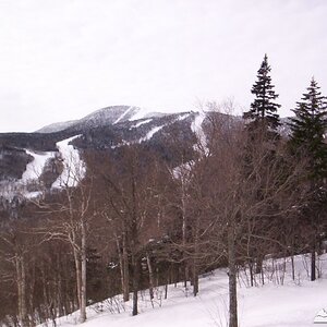 Mt. Ellen from Walt's Trail