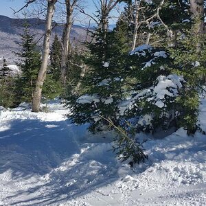 STOWE 2  3-19-17.jpg