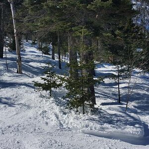 STOWE 3-19-17.jpg