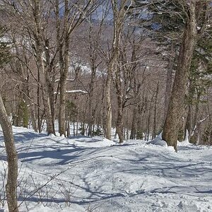 Killington-3-24_03.jpg