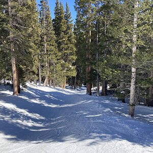 Chair eight Trees.JPG