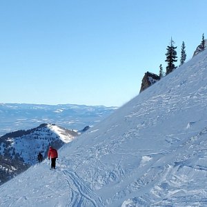 cat track to near bookends 15 jan 2026.jpg