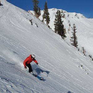 jim f snowbird 15 jan 2026 4ster.jpg