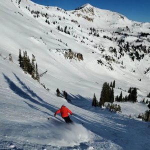 near bookends 15 jan 2026 snowbird.jpg