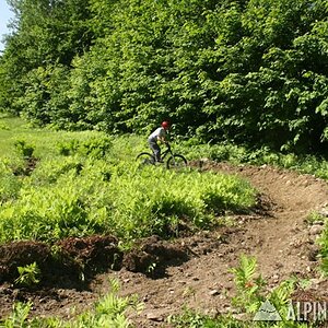 Sugarbush berms!