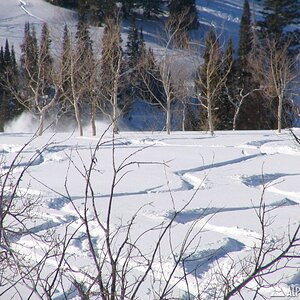 Powder Mountain 02/15/2008