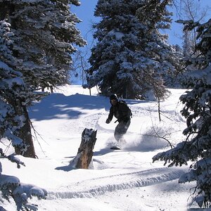 Powder Mountain 02/15/2008