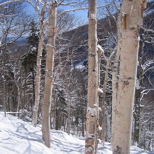 killington 3/2/08