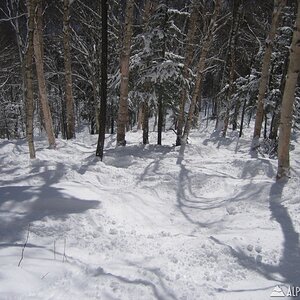 killington 3/2/08