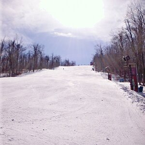 Upper Wolverine