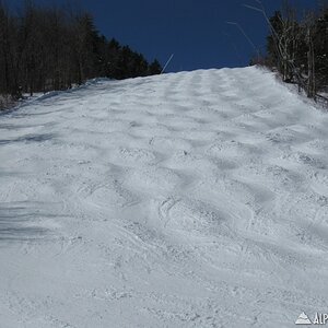 Nice Spring Bumps