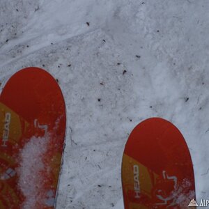 tips of my new skis