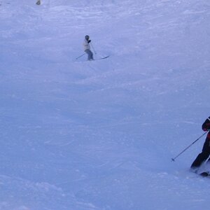 Alta, the Bird and Snowbasin