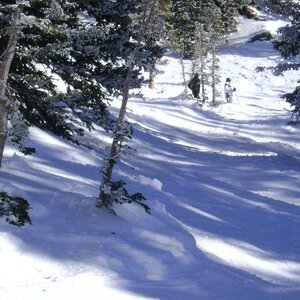 Alta, Snowbird, Snowbasin 1/10-1/15 2009