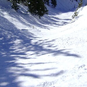 Alta_Snowbird_Snowbasin_Jan_2009_130