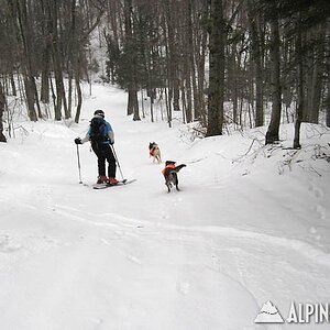 www.sugarbush.com