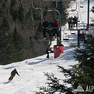 www.sugarbush.com