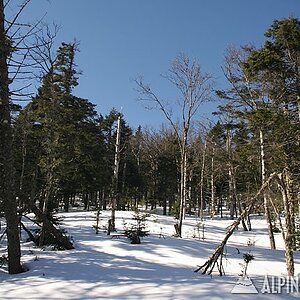 www.sugarbush.com