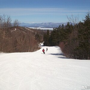 Gunstock