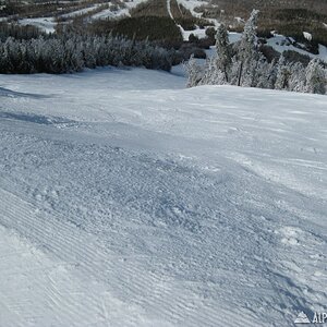 Loaf-Saddleback_31Mar-01Apr_016