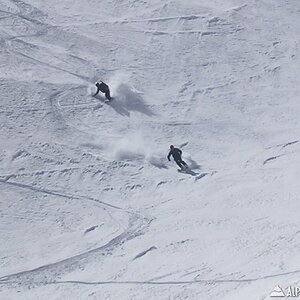 Kashmir Mixed Pow 8s