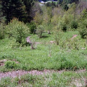 trailwork