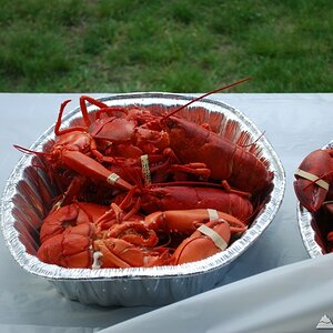 2009_050