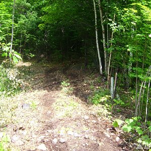 adk_025