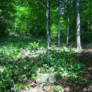 adk_028