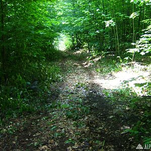 adk_026