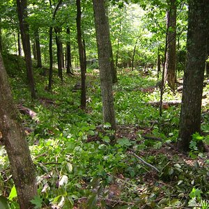 adk_027