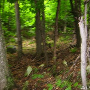 adk_030