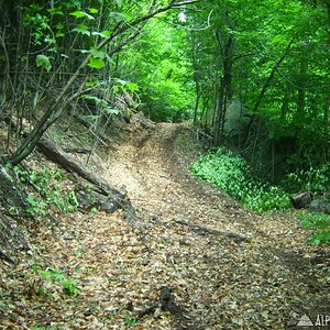 adk_031