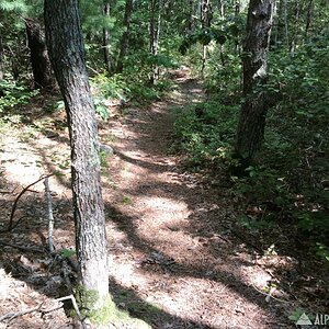 Trail of Tears - 7/27/09