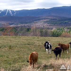 www.sugarbush.com