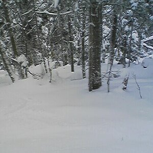 Killington Woods off K-Peak