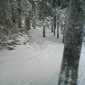 Killington Woods off K-Peak