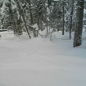 Killington Woods off K-Peak