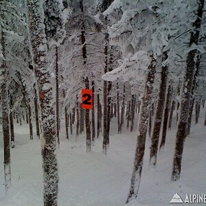 Saddleback - Casablanca Glades