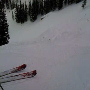 Snowbird_Chute