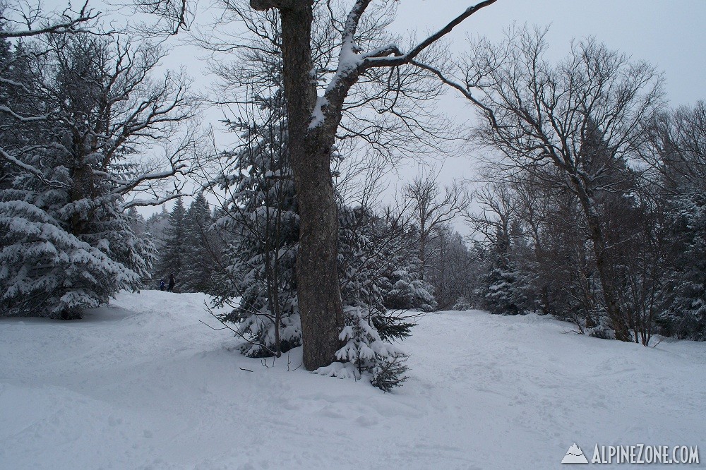 100_2051